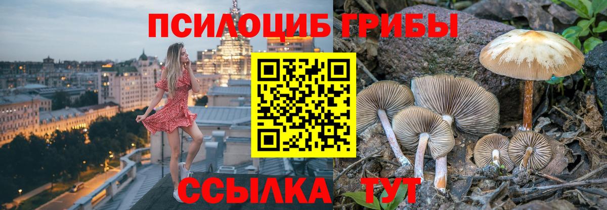 Галлюциногенные грибы Magic Shrooms  Вход с VPN  Юрга 